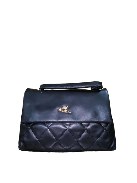 Handbag #4